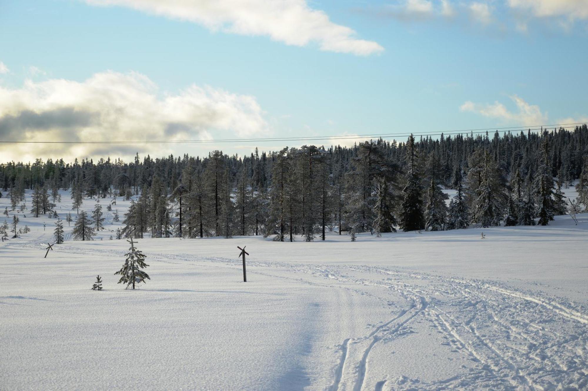 Hytte Anno 1721 Uten Internett, Strom, Vann - Men Med Rodmalt Utedo Ljørdal المظهر الخارجي الصورة