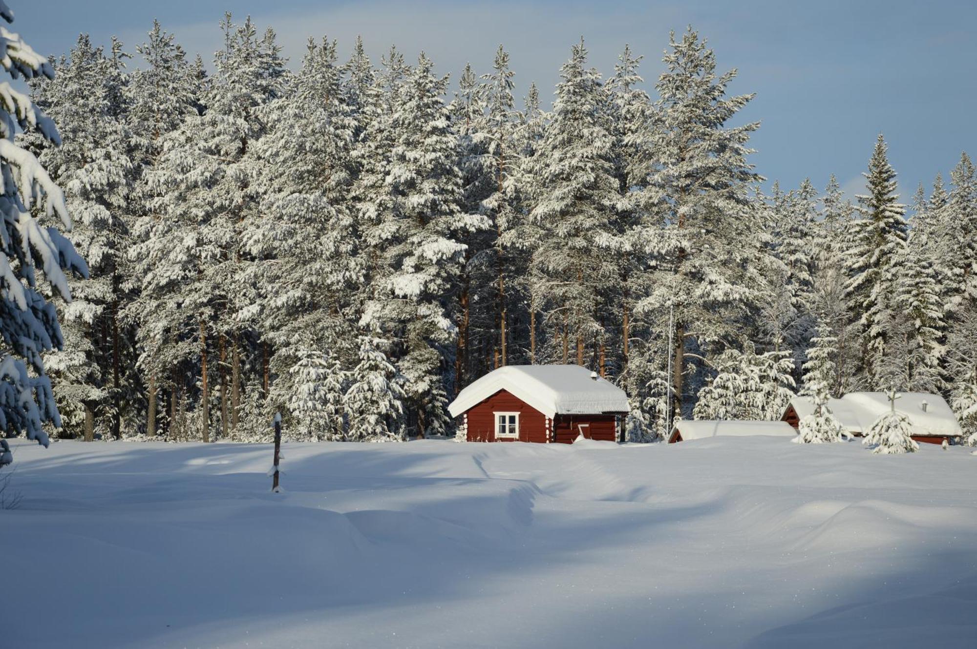 Hytte Anno 1721 Uten Internett, Strom, Vann - Men Med Rodmalt Utedo Ljørdal المظهر الخارجي الصورة